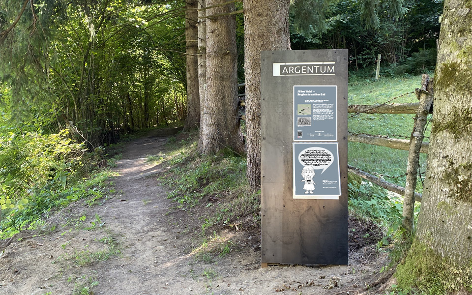 Auf dem Bild ist die Station des Silbersteigs in Mühldorf zu sehen. Ein Waldweg erstreckt sich vorwärts, und auf der rechten Seite ist ein metallisches Element zu sehen. An dieser metallenen Fläche sind zwei Tafeln befestigt. Auf Augenhöhe für Erwachsene befindet sich eine Tafel mit einem Text, der die Geschichte Mühldorfs behandelt. Auf Augenhöhe für Kinder ist die zweite Tafel mit einem kindgerechten Text zu demselben Thema platziert.